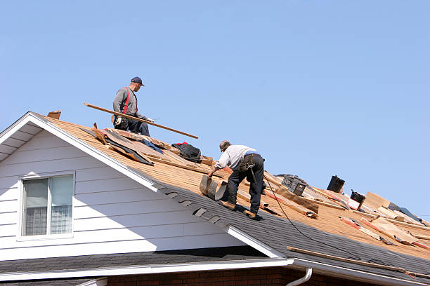 Fast & Reliable Emergency Roof Repairs in Miami Lakes, FL